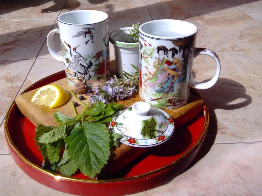 Porcelain Chinese Tea Mug with Infuser and Lid - Garden Ladies Pattern